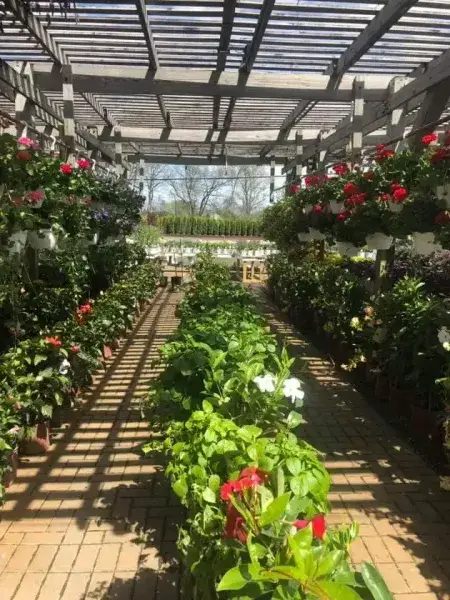 KBK Garden Center gallery image 60