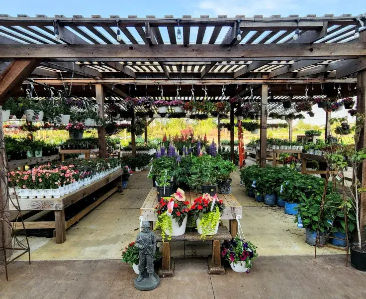 KBK Garden Center gallery image 34