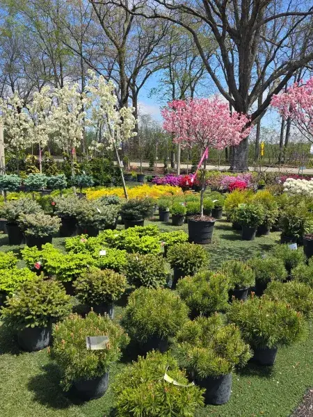 KBK Garden Center gallery image 55