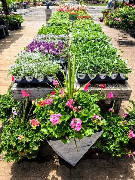 KBK Garden Center gallery image 49