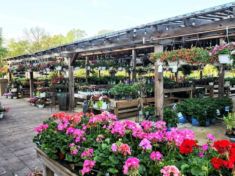 KBK Garden Center gallery image 32