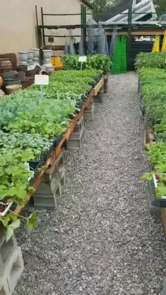 KBK Garden Center gallery image 25