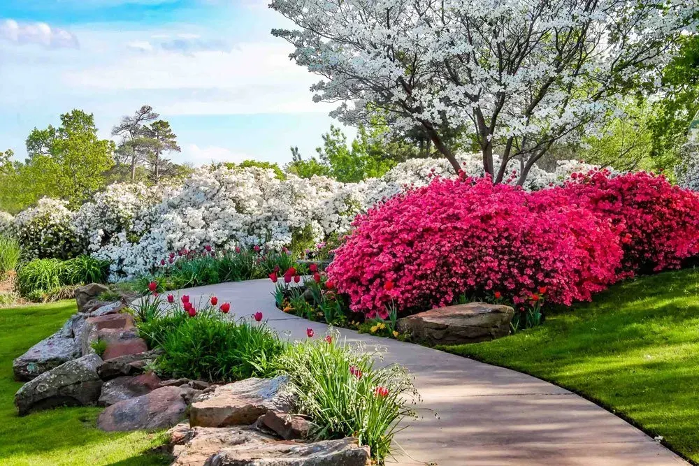Landscaped area with plants and stone at the garden center