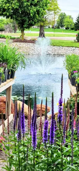 KBK Garden Center gallery image 52