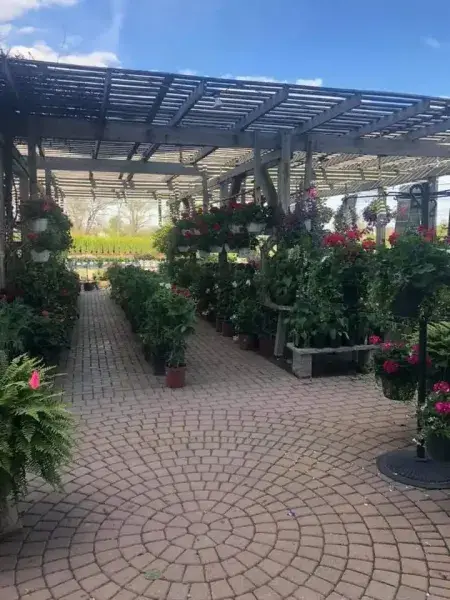 KBK Garden Center gallery image 62