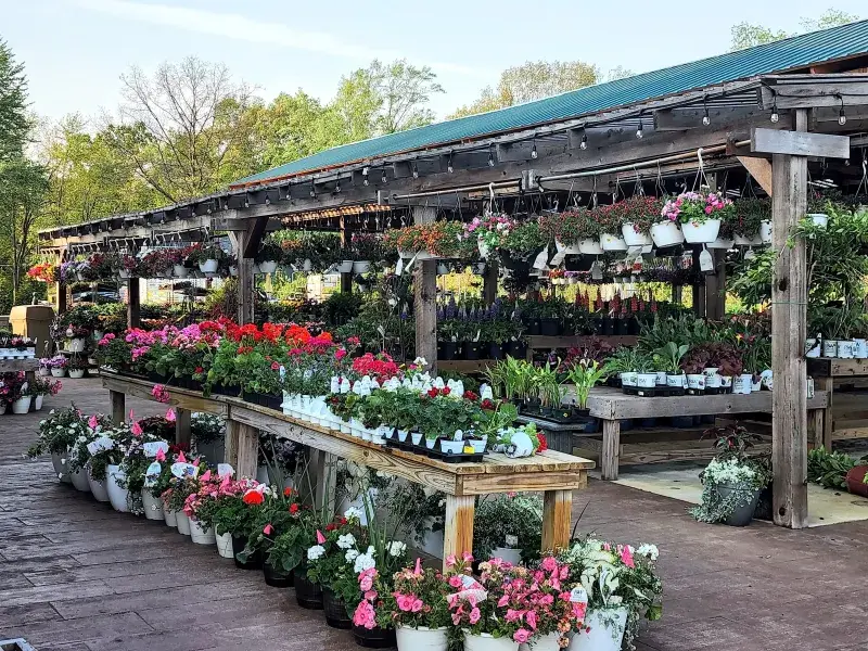KBK Garden Center gallery image 31