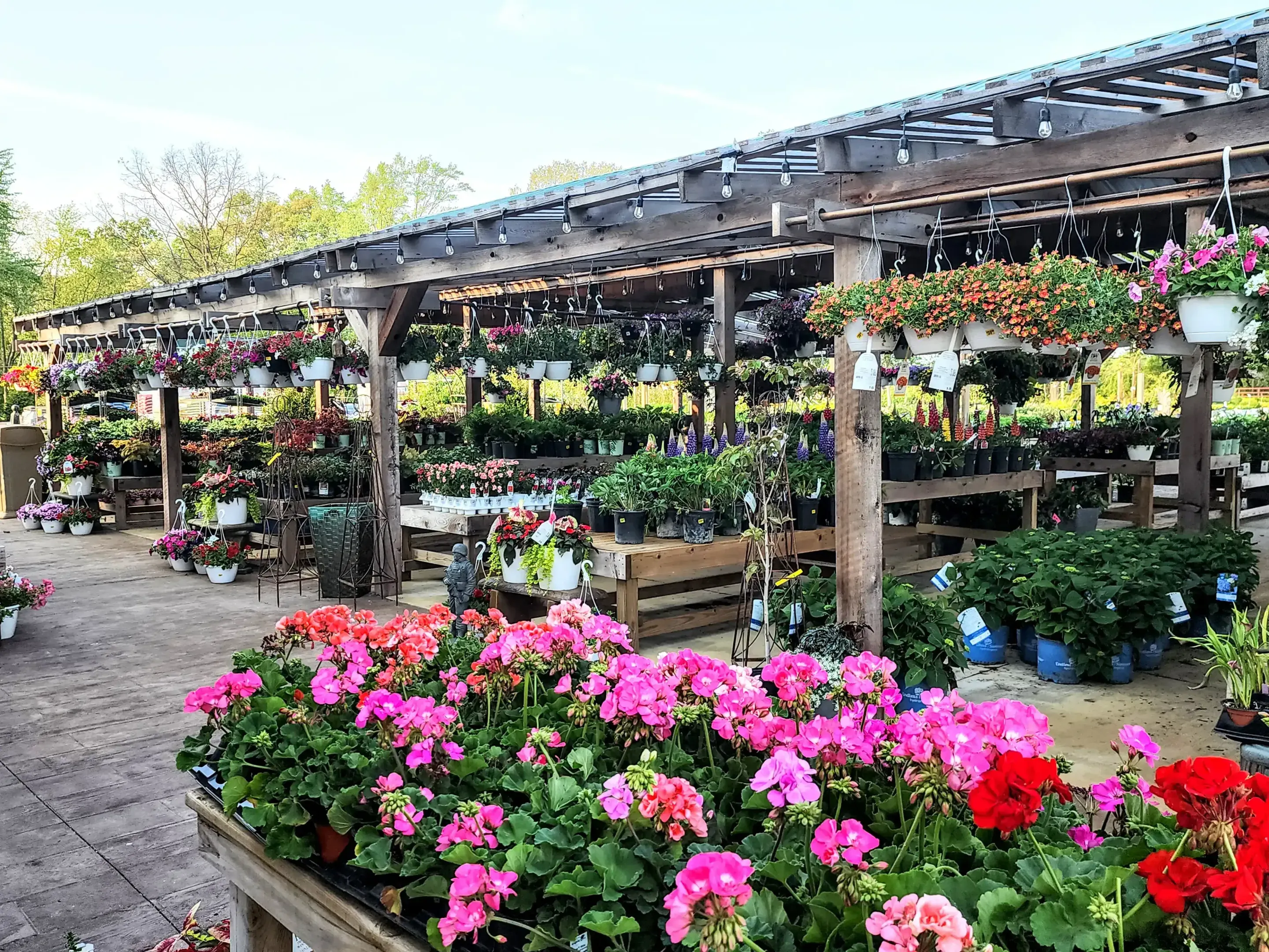 Bright summer blooms at their peak in a full, colorful garden bed