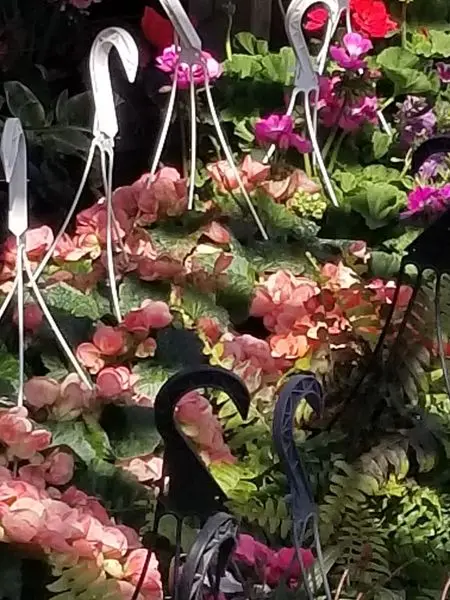 KBK Garden Center gallery image 6
