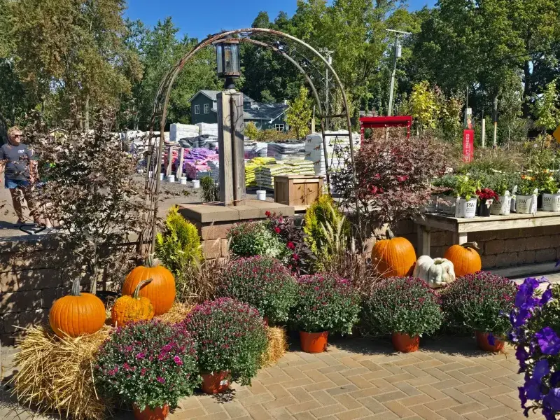 KBK Garden Center gallery image 47