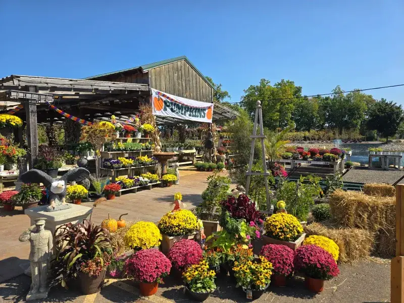 KBK Garden Center gallery image 50