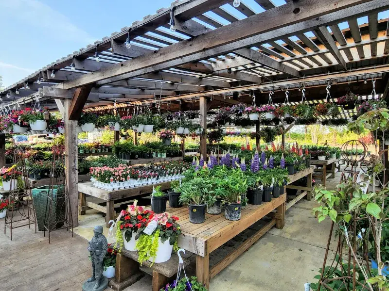 KBK Garden Center gallery image 35